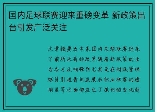 国内足球联赛迎来重磅变革 新政策出台引发广泛关注