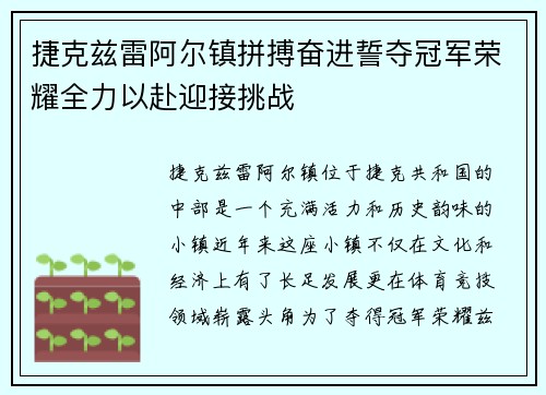 捷克兹雷阿尔镇拼搏奋进誓夺冠军荣耀全力以赴迎接挑战