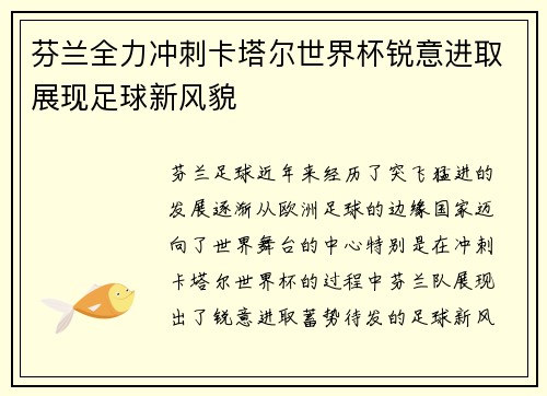 芬兰全力冲刺卡塔尔世界杯锐意进取展现足球新风貌