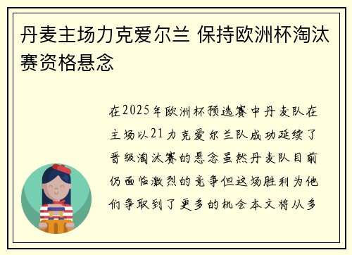 丹麦主场力克爱尔兰 保持欧洲杯淘汰赛资格悬念
