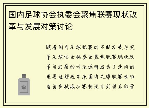 国内足球协会执委会聚焦联赛现状改革与发展对策讨论